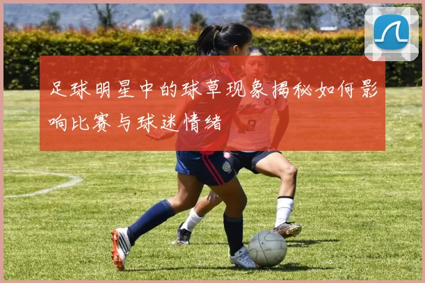 足球明星中的球草现象揭秘如何影响比赛与球迷情绪