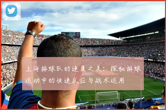 上海排球队的速度之美：探秘排球运动中的快速反应与战术运用