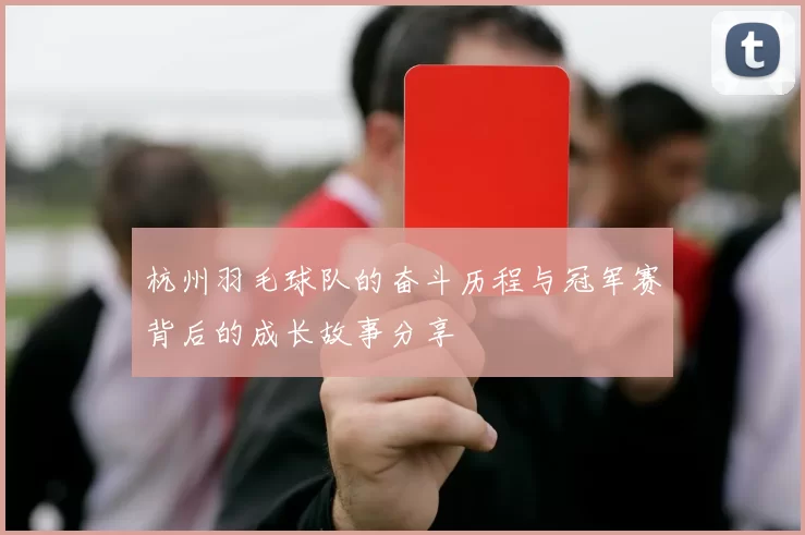 杭州羽毛球队的奋斗历程与冠军赛背后的成长故事分享
