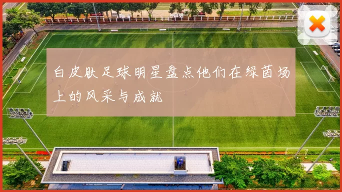 白皮肤足球明星盘点他们在绿茵场上的风采与成就