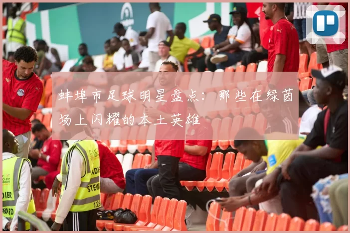 蚌埠市足球明星盘点：那些在绿茵场上闪耀的本土英雄