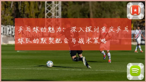 乒乓球的魅力：深入探讨重庆乒乓球队的默契配合与战术策略