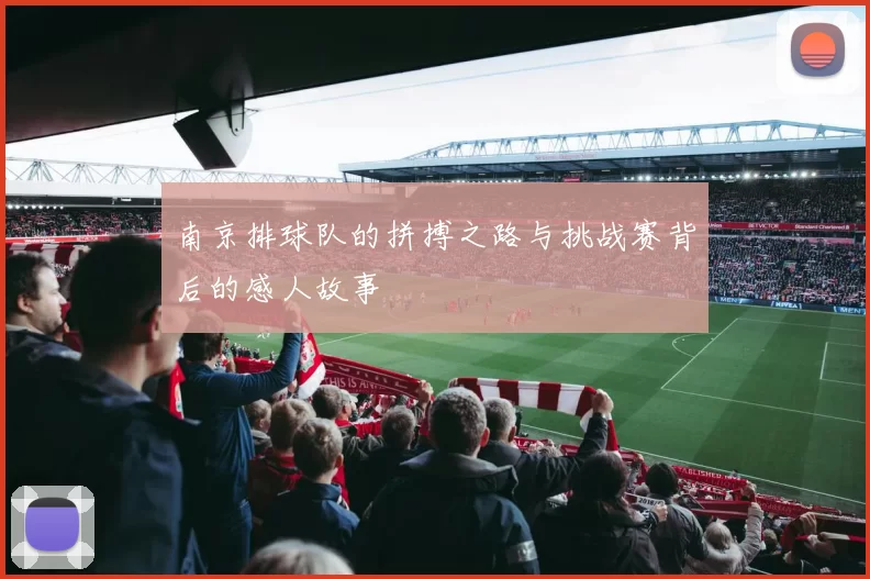 南京排球队的拼搏之路与挑战赛背后的感人故事