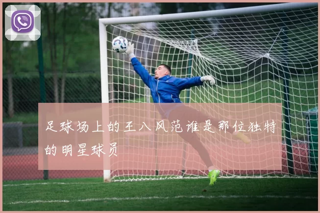 足球场上的王八风范谁是那位独特的明星球员