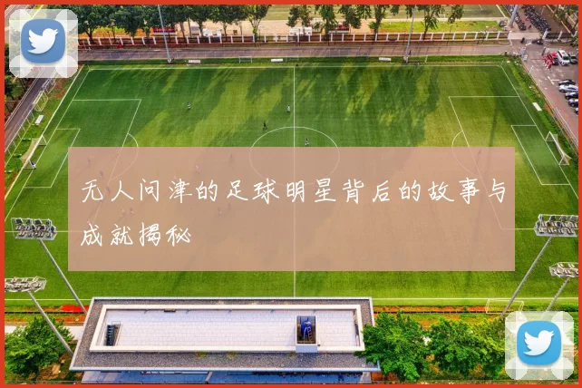 无人问津的足球明星背后的故事与成就揭秘