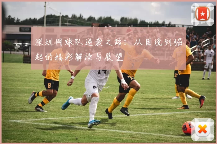 深圳网球队逆袭之路：从困境到崛起的精彩解读与展望