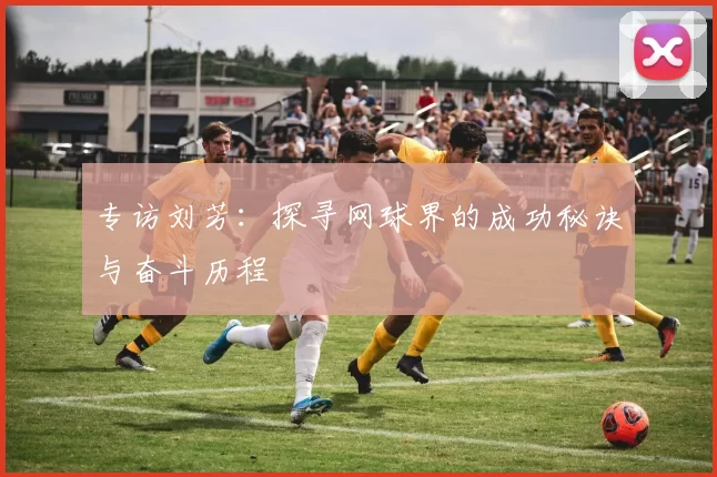 专访刘芳：探寻网球界的成功秘诀与奋斗历程