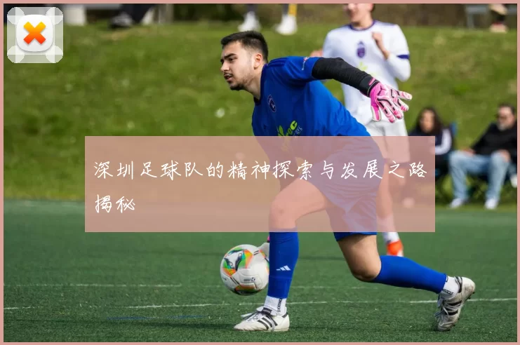 深圳足球队的精神探索与发展之路揭秘