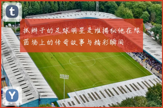 抓辫子的足球明星是谁揭秘他在绿茵场上的传奇故事与精彩瞬间