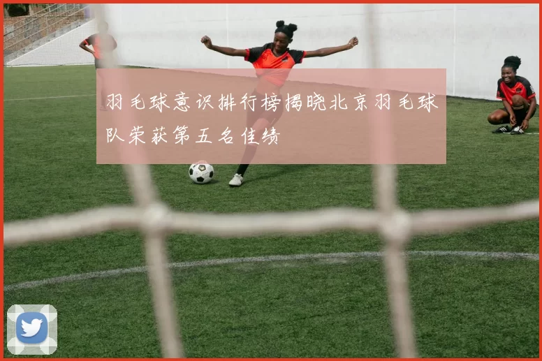 羽毛球意识排行榜揭晓北京羽毛球队荣获第五名佳绩