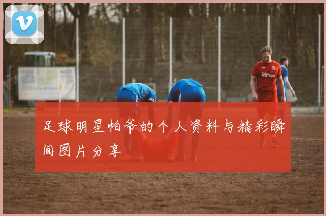 足球明星帕爷的个人资料与精彩瞬间图片分享