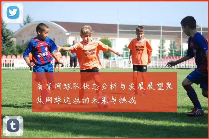 南京网球队状态分析与发展展望聚焦网球运动的未来与挑战