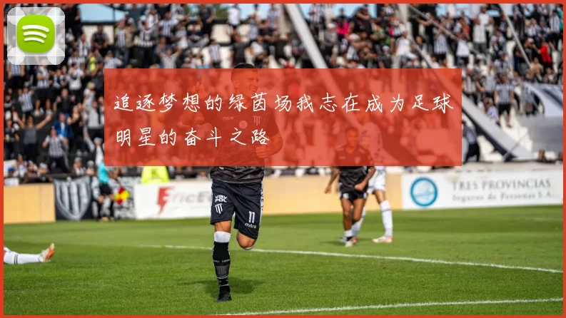 追逐梦想的绿茵场我志在成为足球明星的奋斗之路