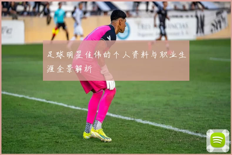 足球明星佳伟的个人资料与职业生涯全景解析