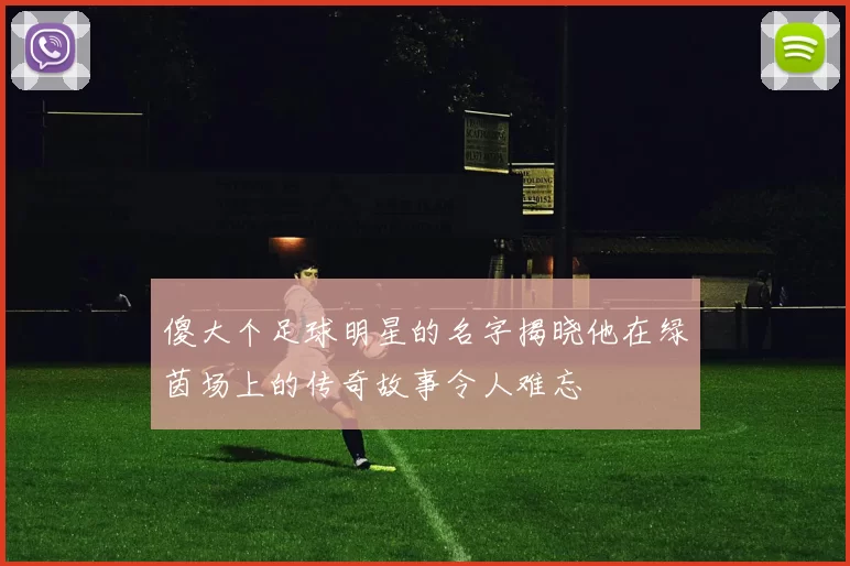 傻大个足球明星的名字揭晓他在绿茵场上的传奇故事令人难忘