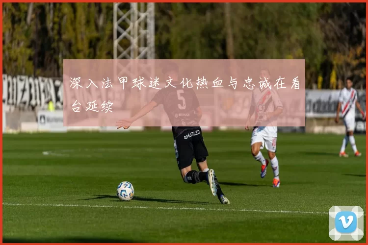 深入法甲球迷文化热血与忠诚在看台延续