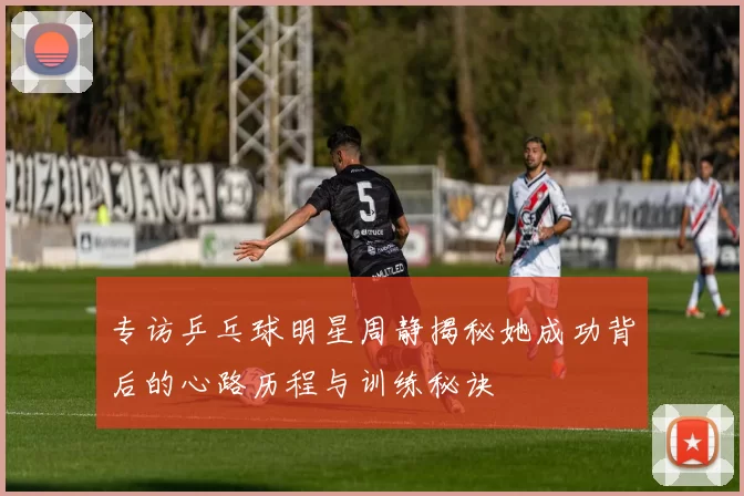 专访乒乓球明星周静揭秘她成功背后的心路历程与训练秘诀