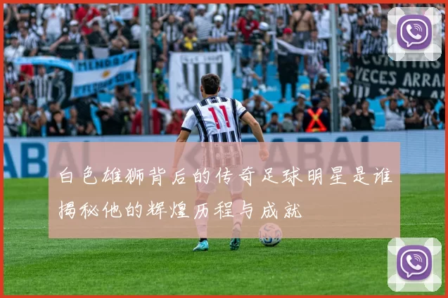 白色雄狮背后的传奇足球明星是谁揭秘他的辉煌历程与成就