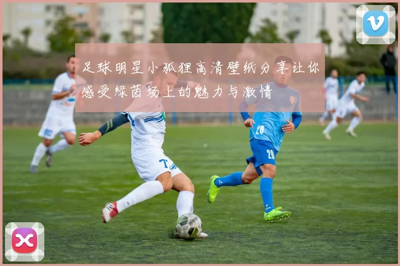 足球明星小狐狸高清壁纸分享让你感受绿茵场上的魅力与激情