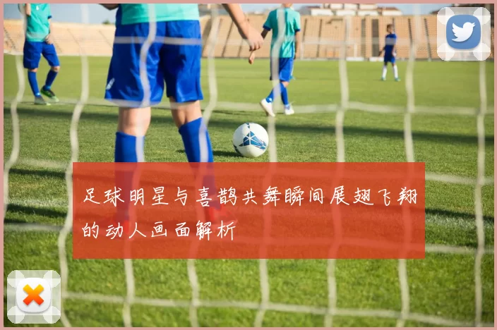 足球明星与喜鹊共舞瞬间展翅飞翔的动人画面解析