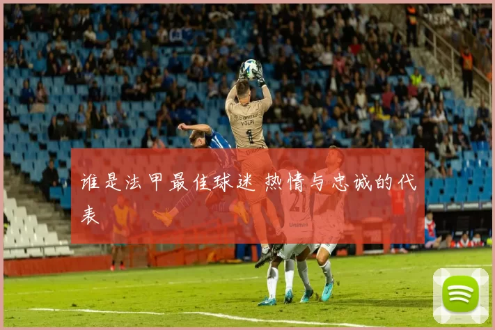 谁是法甲最佳球迷 热情与忠诚的代表