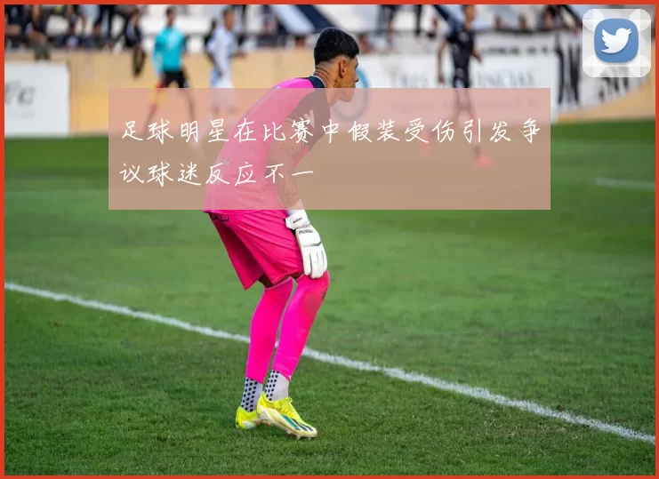 足球明星在比赛中假装受伤引发争议球迷反应不一