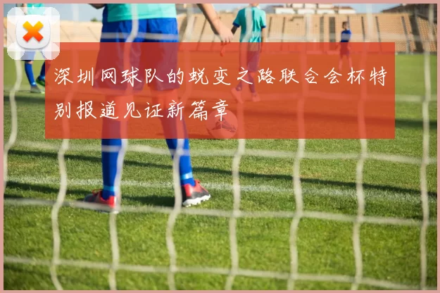 深圳网球队的蜕变之路联合会杯特别报道见证新篇章