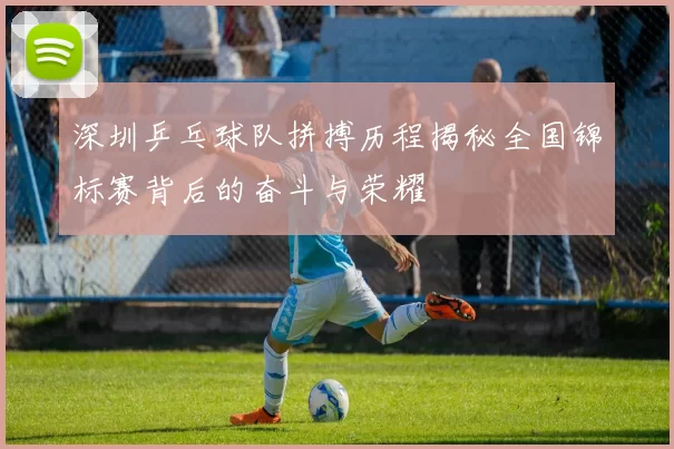 深圳乒乓球队拼搏历程揭秘全国锦标赛背后的奋斗与荣耀